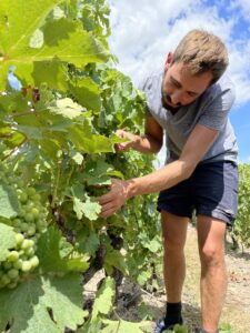 Jérémy Lajoux - Domaine de la Canopée